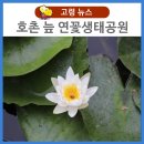 호촌늪 이미지