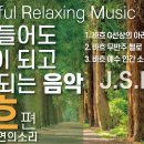 🎵[Bach] Relaxing Music Prenatal | Music for Studying Mozart Beethoven | Sl 이미지