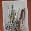 송전 펫 하우스 이미지