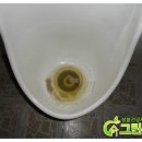 그린존피시방 이미지