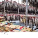 황태덕장 이미지