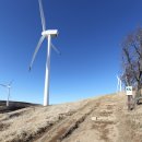 바우길 1구간 이미지