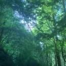 장태산농장 | 📍 대전 가족여행 추천✨ 아기랑 부모님이랑 다 좋은 장태산자연휴양림 숙박 + 동물먹이체험 후기 + 할인팁