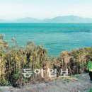 옛맛촌가든 이미지