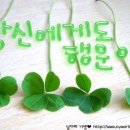 소후곡 Daum카페