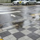 이학갈비 앞 횡단보도 이미지