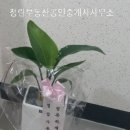 정림부동산중개 이미지