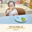 영진이네 - 평창군 | 추석 과일 선물 추천 아기 간식으로도 좋은 영진이네 포도 쥬얼머스켓 청포도