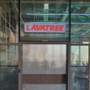 라바트리(LAVATREE) 이미지