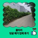 울타리 덩굴 제거 업체 후기