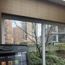 효곡동 그린숲 작은도서관 | 밴쿠버 어학연수 후기 | 20주차 | Capilano Suspension Bridge &amp; Whistler