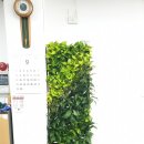 범계동주민센터 이미지