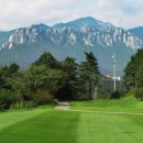 유연프라자 이미지