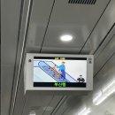 춤을추며 절망이랑 싸울거야(부산 ▪️검정치마 콘서트 ▪️ 신세계남산)