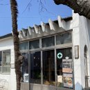 올레프렌즈게스트하우스 | 고즈넉한 카페 평균이하, 든든했던 임순이네밥집, 바다위에 코끼리, 새별 프렌즈, 서귀포 매일올레시장