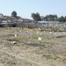 학전농장 이미지