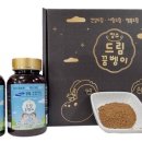 만나굼벵이