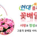 현대플라워 이미지