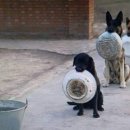 당당한 삶 이미지