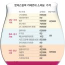 알파마포