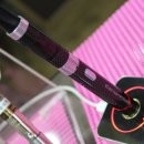 강서라미야
