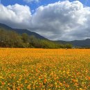 가조온천 이미지