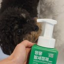 (주)헬로마이펫 이미지