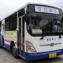 영신버스 이미지