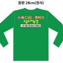 빛가람곤충