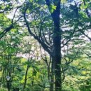 배스킨라빈스 의왕백운점 이미지