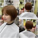 헤어두비취 이미지