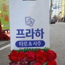 프라하&타로 이미지