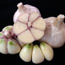 홍산농장 이미지