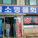 오디건강체험마을 이미지