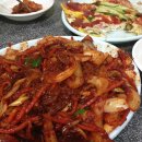 까치네 Daum카페