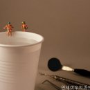 연세여우치과