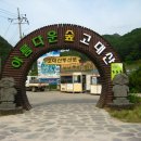 신탄리 이미지