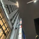 토리가쿠 | 일본 오사카 우메다 토리기조쿠 한큐 히가시도오리 3호점 후기