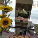 다원 동물병원 이미지