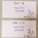 수국칼국수 이미지