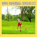 서경골프 | 중국 북경 골프 명문 골프장 서경도cc 솔직 후기