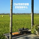 행아웃(Hang out) | 다낭여행 호이안 논밭뷰 감성카페 로빙칠하우스 방문 후기 (칠리악 이터리 앤 행아웃과 비교)