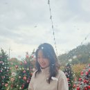 카페인 포레스트 본점 이미지