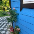 꿈꾸는풍차애견동반펜션 이미지