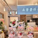 쇼몽플라워