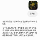 우리들세상