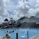 용인대 금강 태권도장 이미지