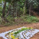 아이마을 어린이집 이미지