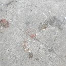 해맞이좌대낚시터 이미지