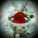 박종윤 카카오 검색결과